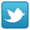 twitter icon