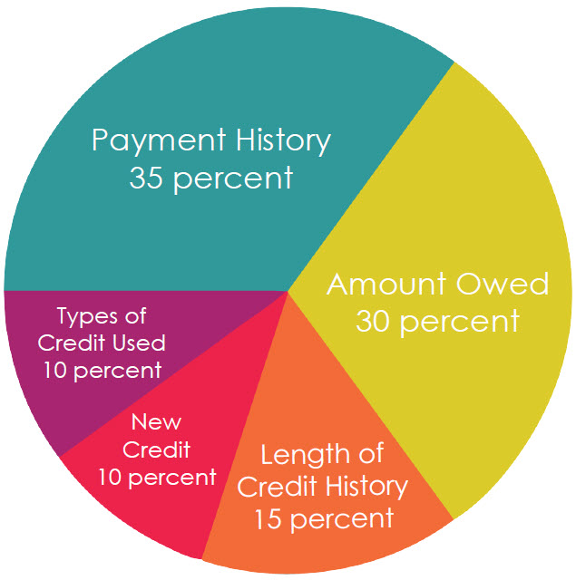 pie chart showing percentage breakdown